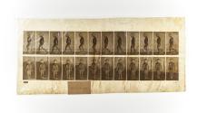 [Plate 467: negative for Animal Locomotion collotype]