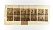 [Plate 476: negative for Animal Locomotion collotype]