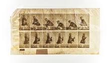 [Plate 481: negative for Animal Locomotion collotype]