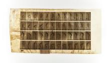 [Plate 490: negative for Animal Locomotion collotype]