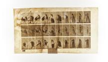 [Plate 497: negative for Animal Locomotion collotype]