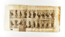 [Plate 498: negative for Animal Locomotion collotype]