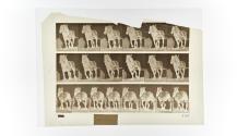 [Plate 566: negative for Animal Locomotion collotype]