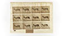 [Plate 697: negative for Animal Locomotion collotype]