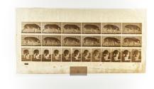 [Plate 673: negative for Animal Locomotion collotype]