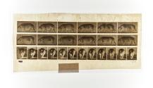 [Plate674: negative for Animal Locomotion collotype]