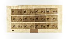[Plate 687: negative for Animal Locomotion collotype]