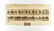 [Plate 688: negative for Animal Locomotion collotype]