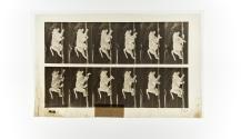 [Plate 749: negative for Animal Locomotion collotype]