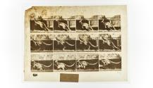 [Plate 752: negative for Animal Locomotion collotype]