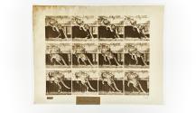 [Plate 753: negative for Animal Locomotion collotype]