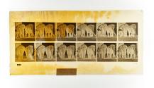 [Plate 734: negative for Animal Locomotion collotype]