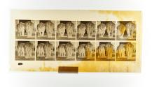 [Plate 735: negative for Animal Locomotion collotype]