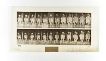 [Plate 742: negative for Animal Locomotion collotype]