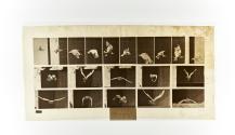 [Plate 764: negative for Animal Locomotion collotype]