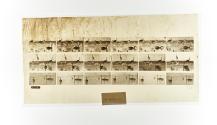 [Plate 775: negative for Animal Locomotion collotype]