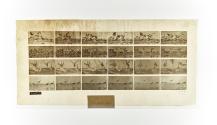 [Plate 777: negative for Animal Locomotion collotype]