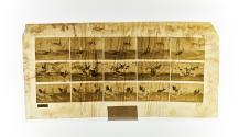 [Plate 778: negative for Animal Locomotion collotype]