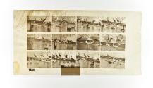 [Plate 779: negative for Animal Locomotion collotype]