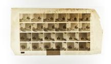 [Plate 781: negative for Animal Locomotion collotype]