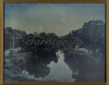We Call This Place (Tarntanya)