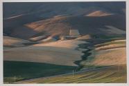 [Agricultural landscape]