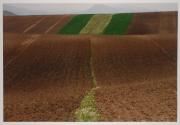 [Agricultural landscape, United States]