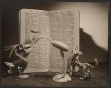 Modernist study of animal figurines and dictionary