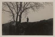 Central Park Series (Policeman on Rock with Tree in Foreground)
