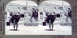 Afghanistan - A Porter Loaded with Rugs
