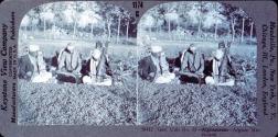 Afghanistan - Afghan Musicians