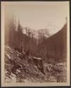 [Workmen building snowsheds, Canadian Pacific Railroad, British Columbia]