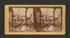[Cat montaged in ruins of post office after the Great Chicago Fire]