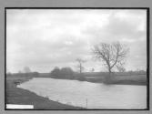 Stratford River nr. Tiddington