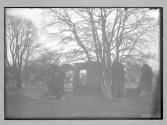 Leicester Bradgate Park