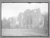 Craig Hall