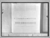 Negative of spectrum (page of a book reproduced)