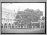 Salisbury Cathedral Exterior of Cloister