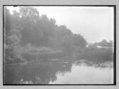 Bidford Clune Woods