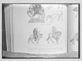 Parson & Friar Ellesmere Ms. Can. Tales Copy