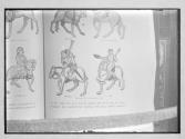 Miller & Cook Ellesmere Mss Can. Tales Copy