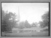 Salisbury Cathedral from back of Bishops Garden