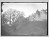 Tutbury Castle the Moat