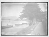 Glasgow Convention View on Loch Lomond