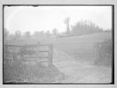 Old Race-Course-Near Banbury