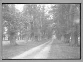Avenue Rockingham Castle From Corby Lodge