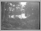 Loch Achray from near Trossachs Hotel