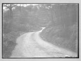 Path in Trossachs