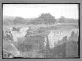 Roman Wall Camp at Walwick Chesters