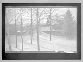 Blizzard 1888 Albany NY